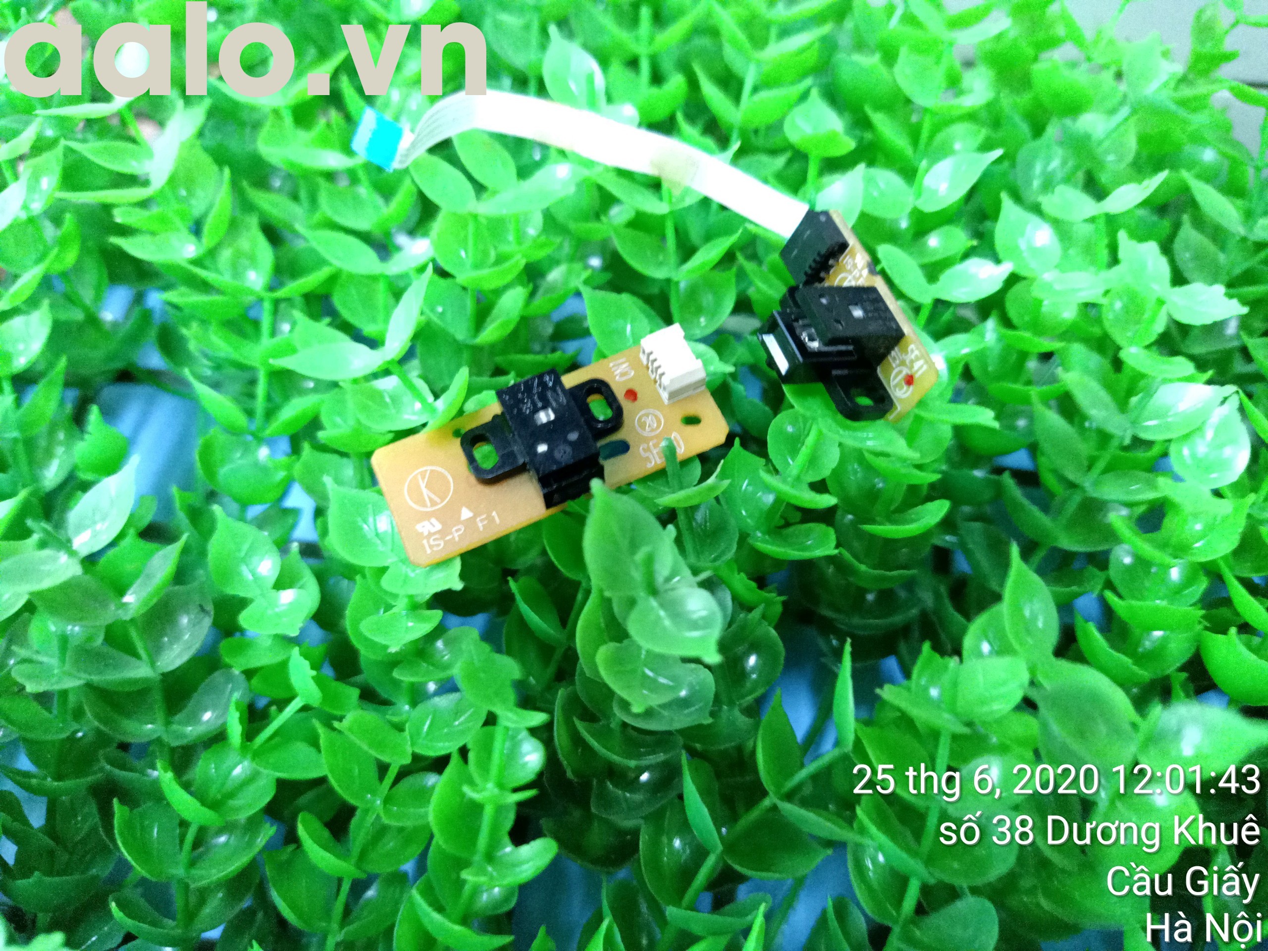 Sensor Máy in phun màu Epson L300 L310 L110 - aalo.vn